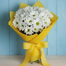 Букет цветов из:  Хризантемы в Волхове