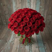 Букет 55 Красных роз Фридом #REPLACE_PRED# Волхове