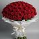 Букет 101 Красная роза Блэк Мэджик в Волхове
