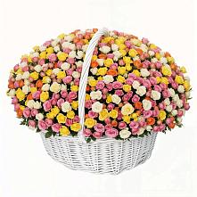 Премиум букет из: Розы в Волхове