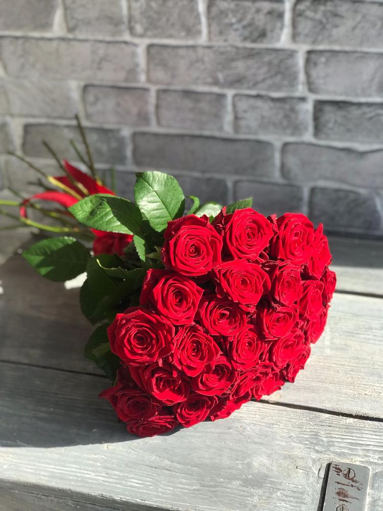 Букет Красные розы Фридом в Волхове