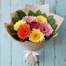 Букет цветов из:  Герберы #REPLACE_PRED# Волхове
