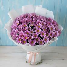 Букет цветов из:  Хризантемы в Волхове