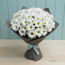 Букет цветов из:  Хризантемы в Волхове