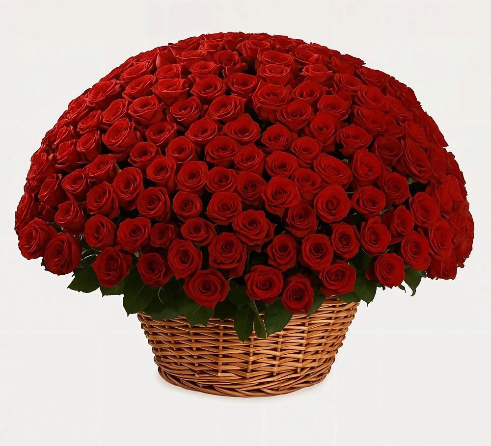 Премиум букет из: Розы в Волхове