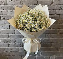 Букет цветов из:  Ромашки в Волхове