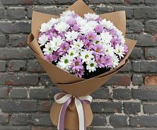 Букет цветов из:  Хризантемы в Волхове