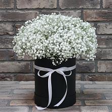 Цветочная композиция из Гипсофила в шляпной коробке в Волхове