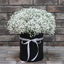 Цветочная композиция из Гипсофила в шляпной коробке в Волхове