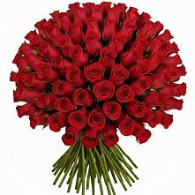 Букет Красные розы Чери Лав в Волхове