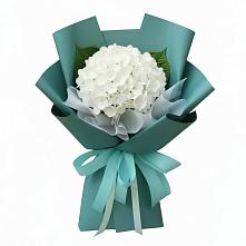 Букет цветов из:  Гортензия #REPLACE_PRED# Волхове